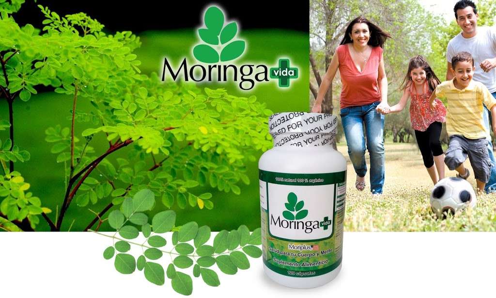 Moringa Vida Plus Inc. | 1953 Alameda St, Los Angeles, CA 90058, USA | Phone: (213) 305-0755