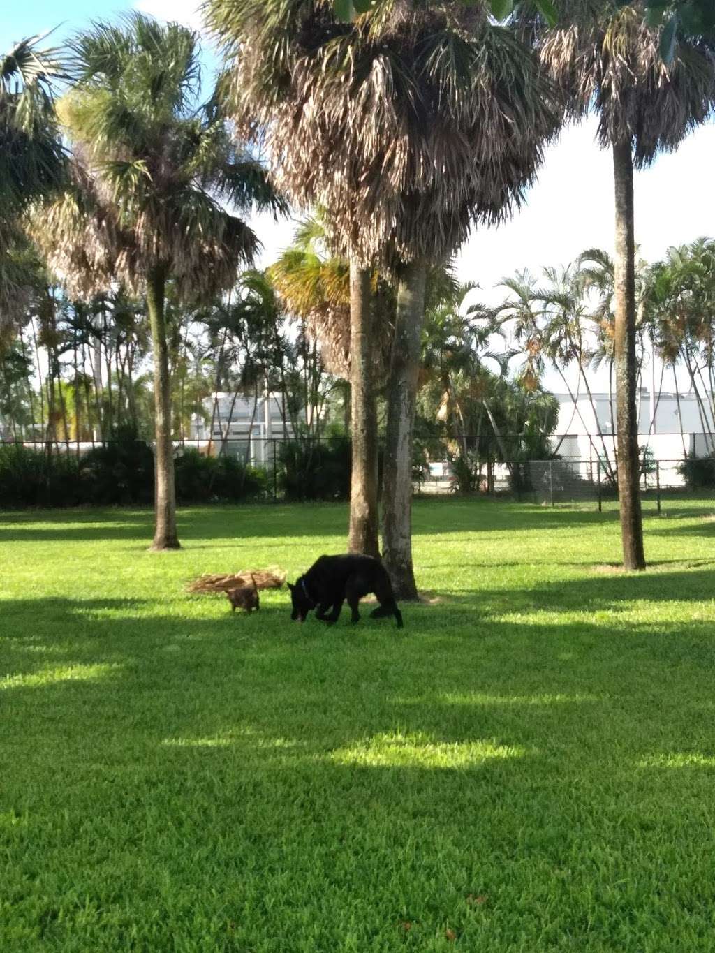 Happy Tails dog Park | 6600 SW 16th St, Plantation, FL 33317 | Phone: (954) 797-2200