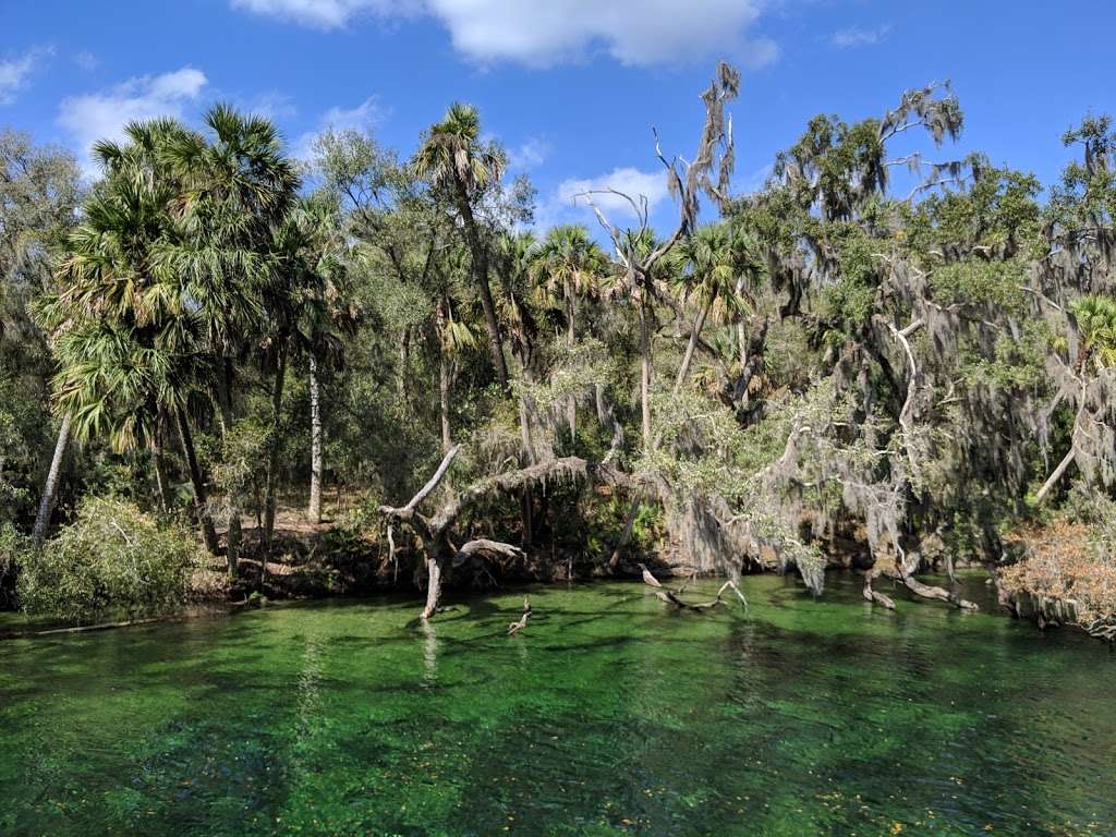 Blue Spring State Park | 2100 W French Ave, Orange City, FL 32763, USA | Phone: (386) 775-3663