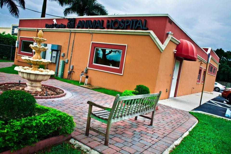 Doral Centre Animal Hospital | 9400 NW 58th St, Doral, FL 33178, USA | Phone: (305) 598-1234