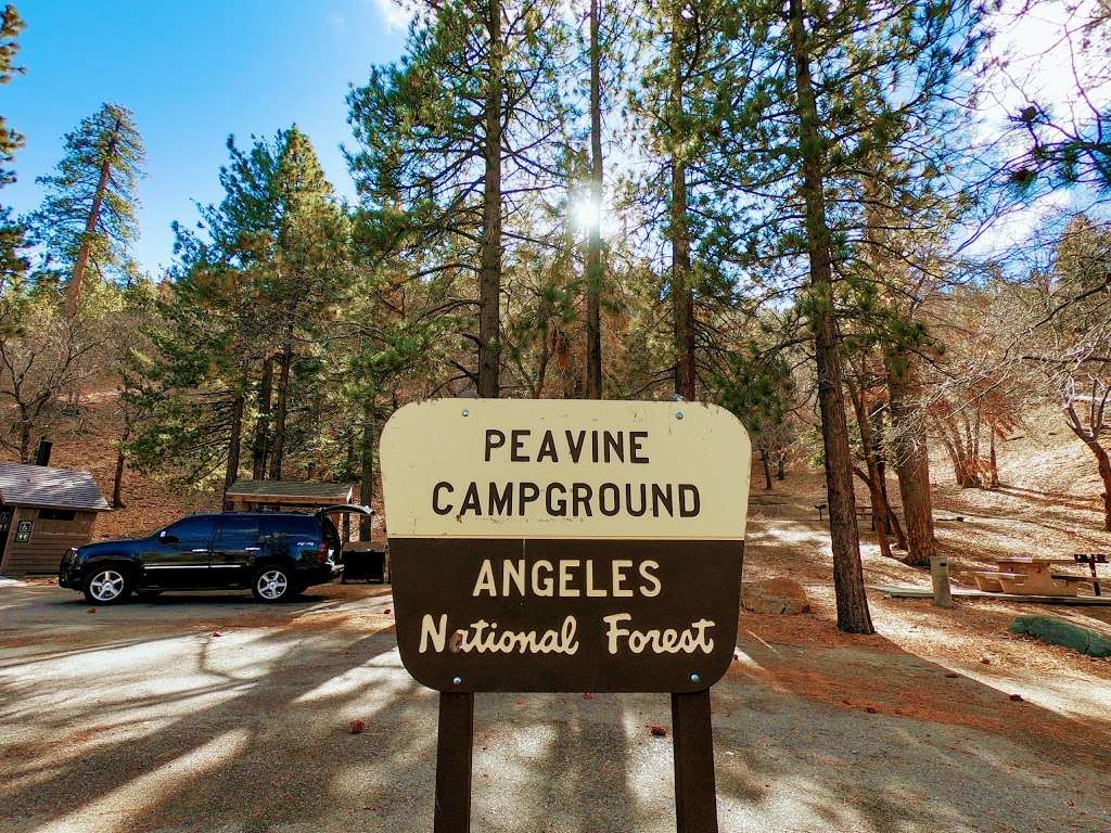 Peavine Campground | Big Pines Hwy, Valyermo, CA 93563, USA