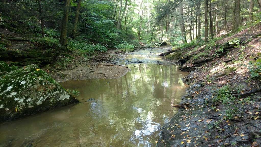 Trout Run Nature Preserve | Stump Rd, Pequea, PA 17565, USA | Phone: (717) 392-7891