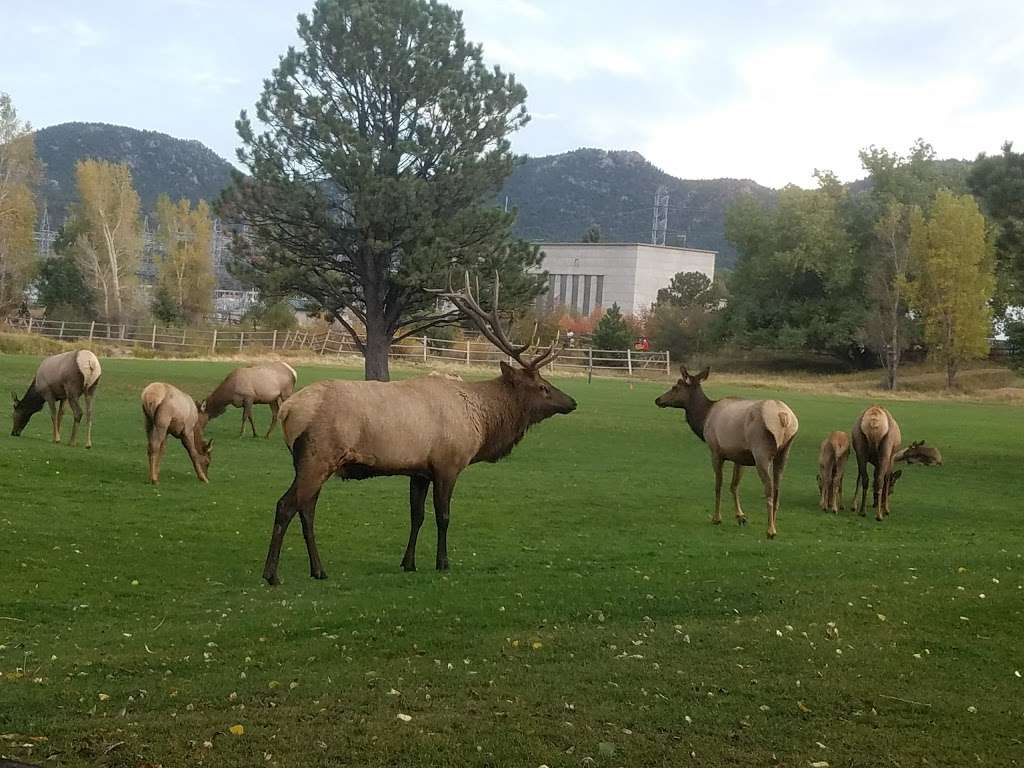 Estes Park 18-Hole Golf Course | 1480 Golf Course Rd, Estes Park, CO 80517, USA | Phone: (970) 586-8146