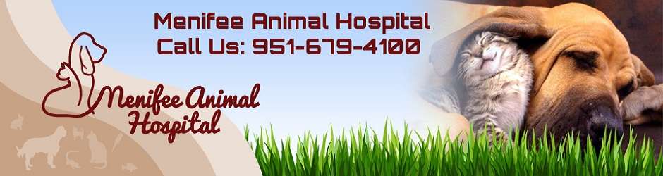 Menifee Animal Hospital | 30406 Haun Rd #730, Menifee, CA 92584, USA | Phone: (951) 679-4100