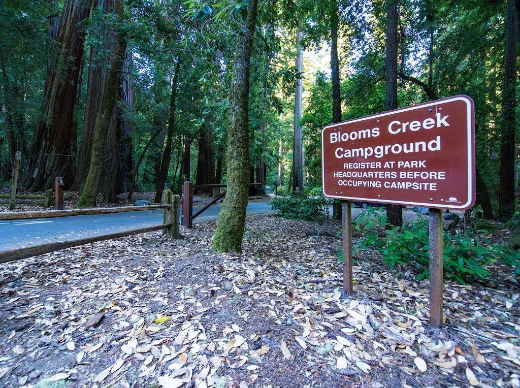 Blooms Creek Campground | Boulder Creek, CA 95006, USA