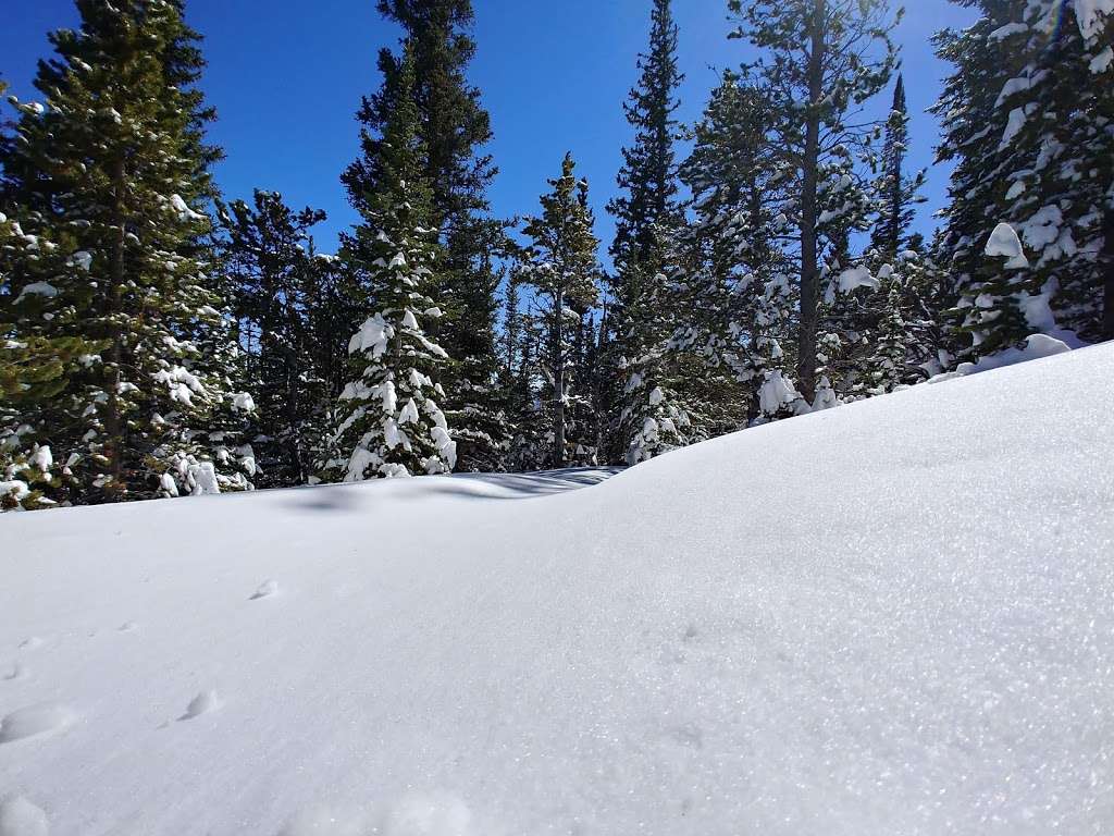 Sourdough Trail | Sourdough Trail, Nederland, CO 80466, USA