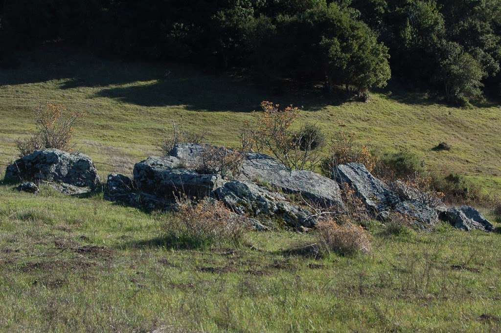 Friends-Edgewood Natural Preserve | 6 Old Stage Coach Rd, Redwood City, CA 94062, USA | Phone: (650) 367-7576