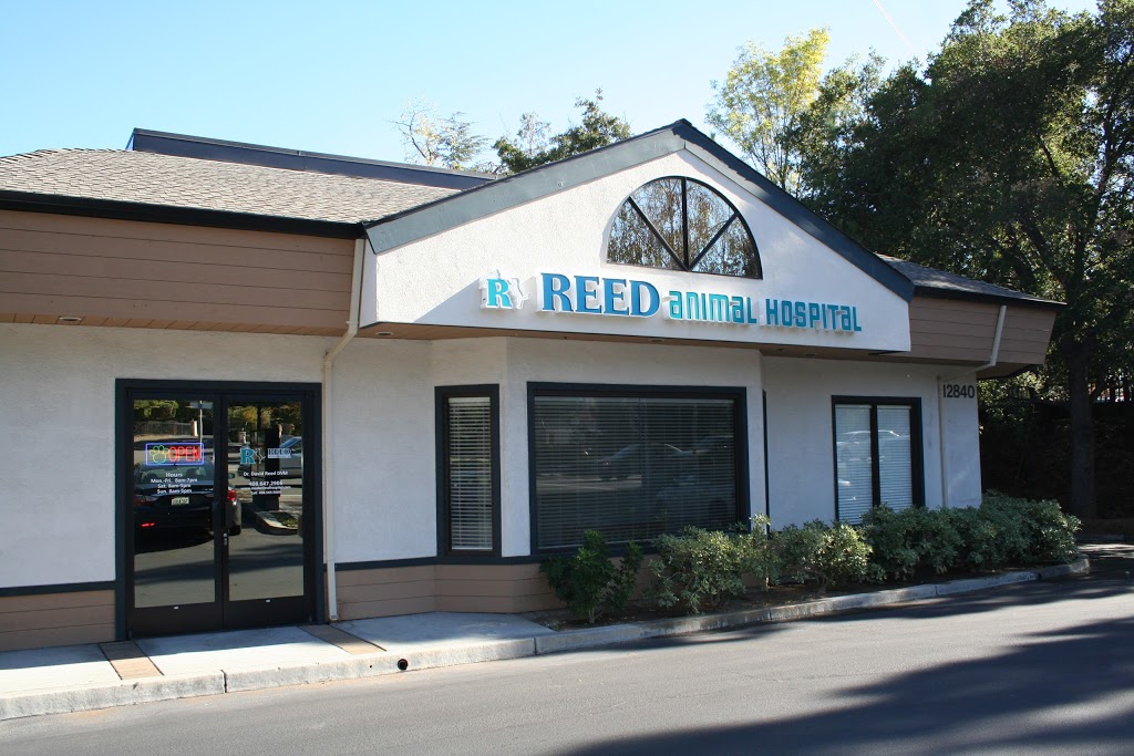 Reed Animal Hospital Saratoga | 12840 Saratoga Sunnyvale Rd #600, Saratoga, CA 95070, USA | Phone: (408) 647-2906