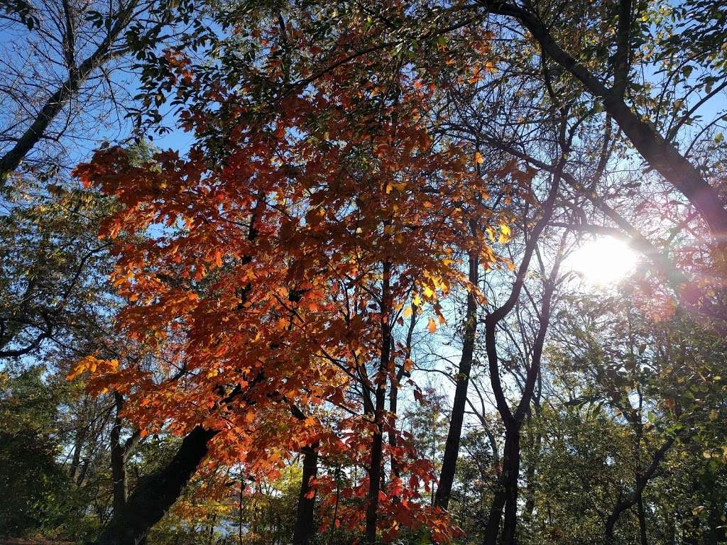 Alewife Brook Parkway | Cambridge, MA 02138