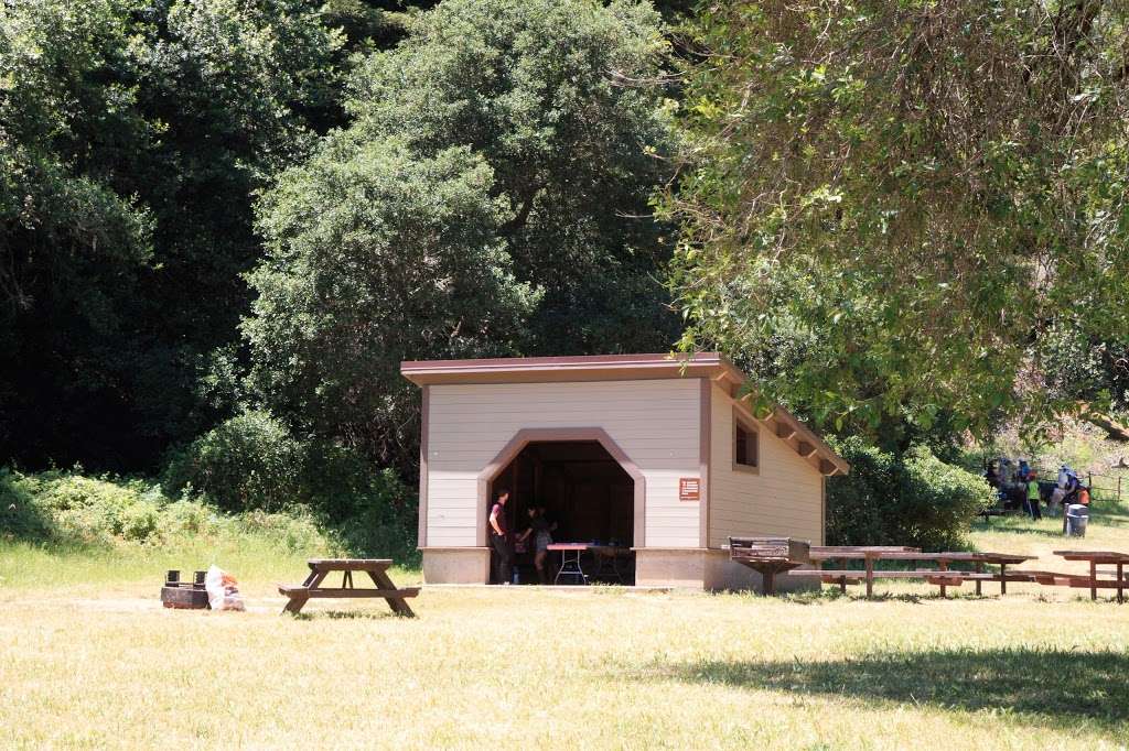 Redwood Regional Park | 7867 Redwood Rd, Oakland, CA 94619 | Phone: (888) 327-2757