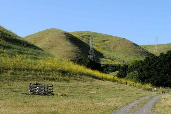 Lynch Canyon Open Space | 3100 Lynch Rd, Fairfield, CA 94534, USA | Phone: (707) 432-0150