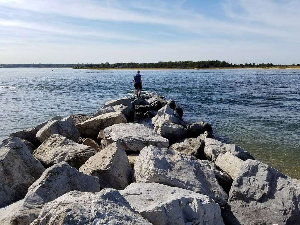 West Meadow Wetlands Reserve | 44 W Meadow Ln, Stony Brook, NY 11790, USA