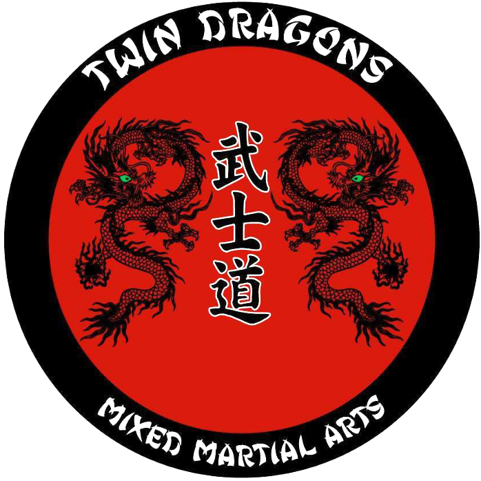 Twin Dragons Mixed Martial Arts & Fitness | 2504 25th Ave N STE 9, Texas City, TX 77590, USA | Phone: (409) 998-4600