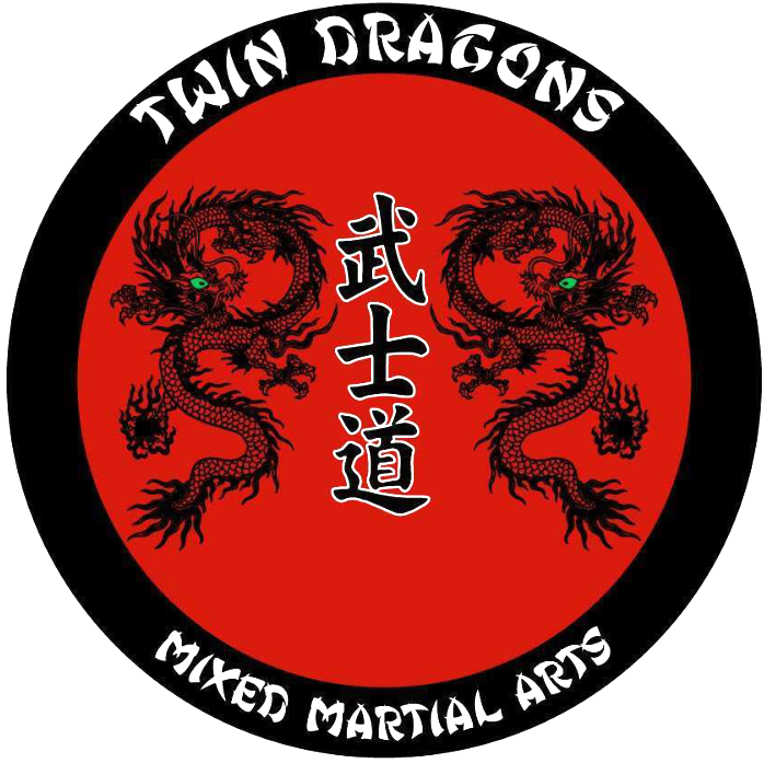 Twin Dragons Mixed Martial Arts & Fitness | 2504 25th Ave N STE 9, Texas City, TX 77590 | Phone: (409) 998-4600