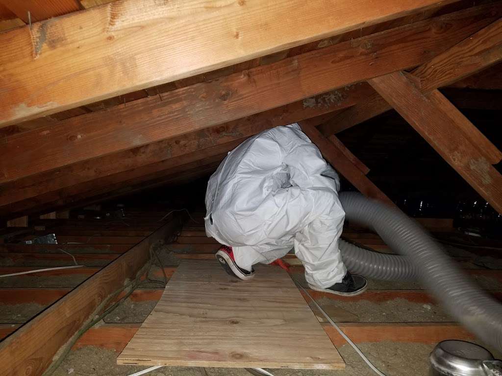 Attic Solutions - Rodent Proofing & Insulation Services | 3212 Deering St, Oakland, CA 94601, USA | Phone: (510) 500-5007