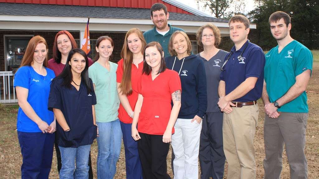 Palmetto Veterinary Medicine & Surgery | 6000 McConnells Hwy, McConnells, SC 29726, USA | Phone: (803) 628-1665