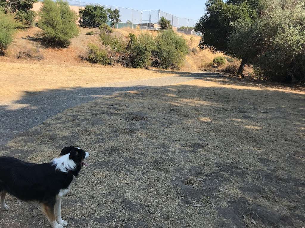 Heather School Dog Park | 5 Porto Marino Ln, San Carlos, CA 94070, USA