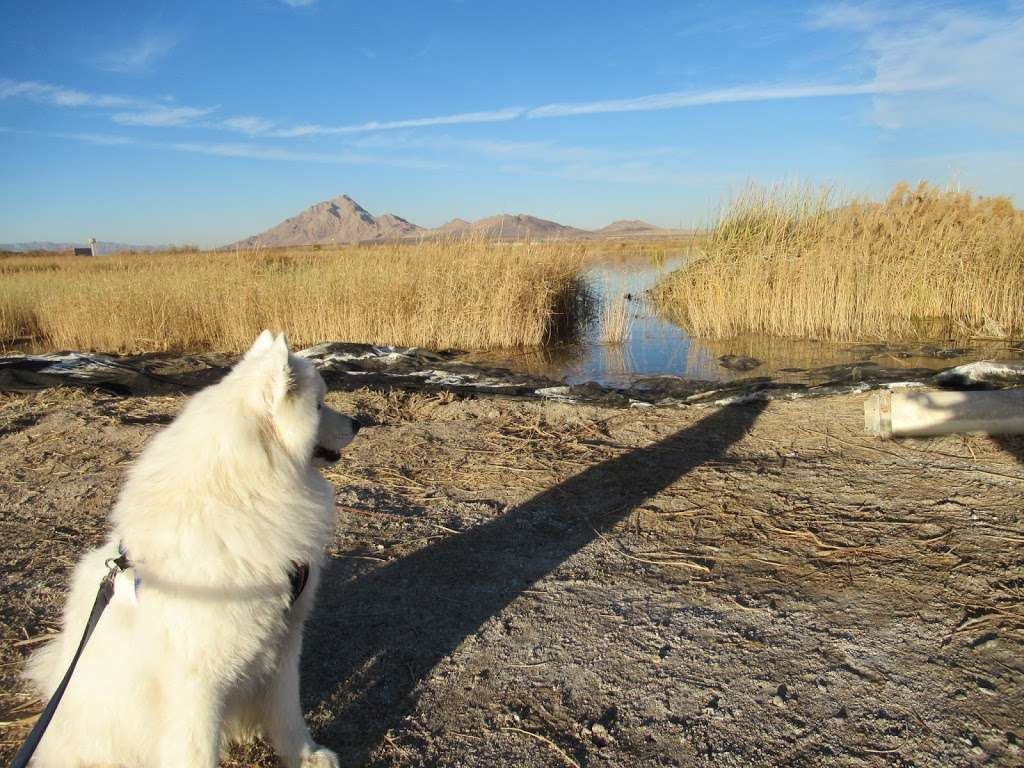 Duck Creek RV Park | 6635 Boulder Hwy, Las Vegas, NV 89122, USA | Phone: (702) 454-7090