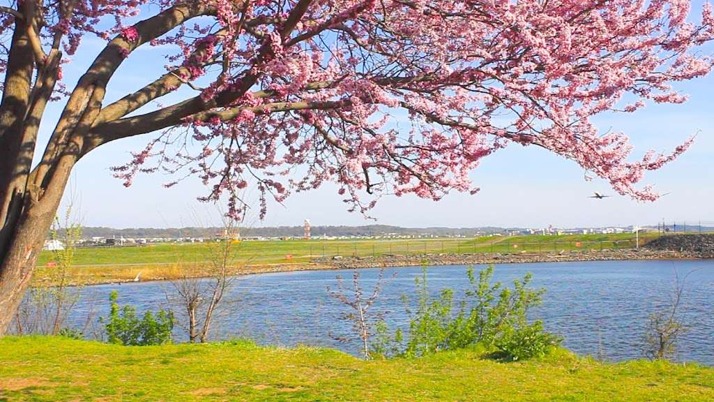 Reagan Airport Park | 12 Mt Vernon Trail, Arlington, VA 22202