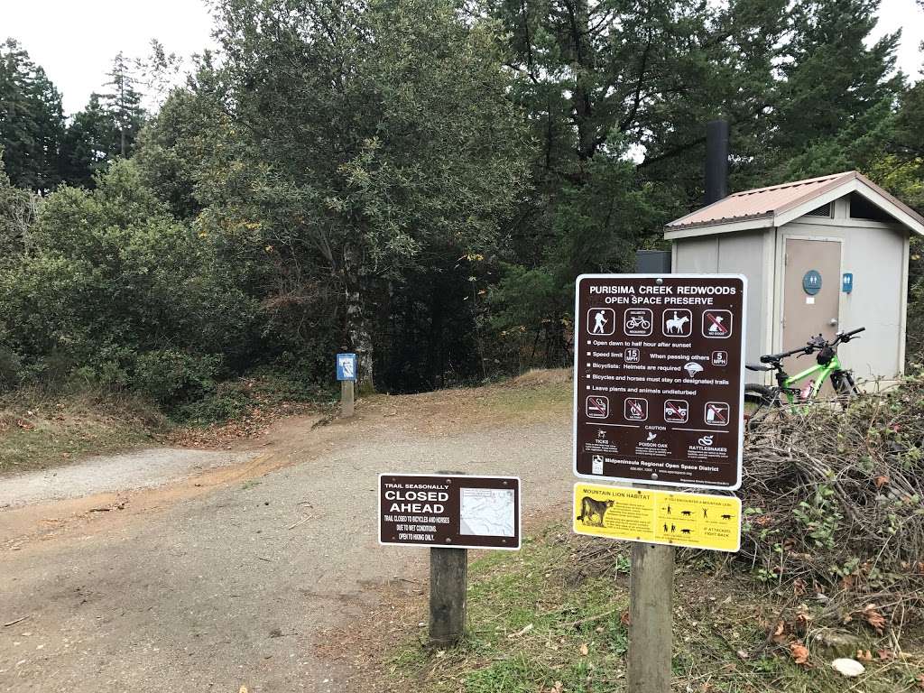 North Ridge Trail, Purisima Creek Redwoods Open Space Preserve | 13130 Skyline Blvd, Redwood City, CA 94062, USA | Phone: (650) 691-1200