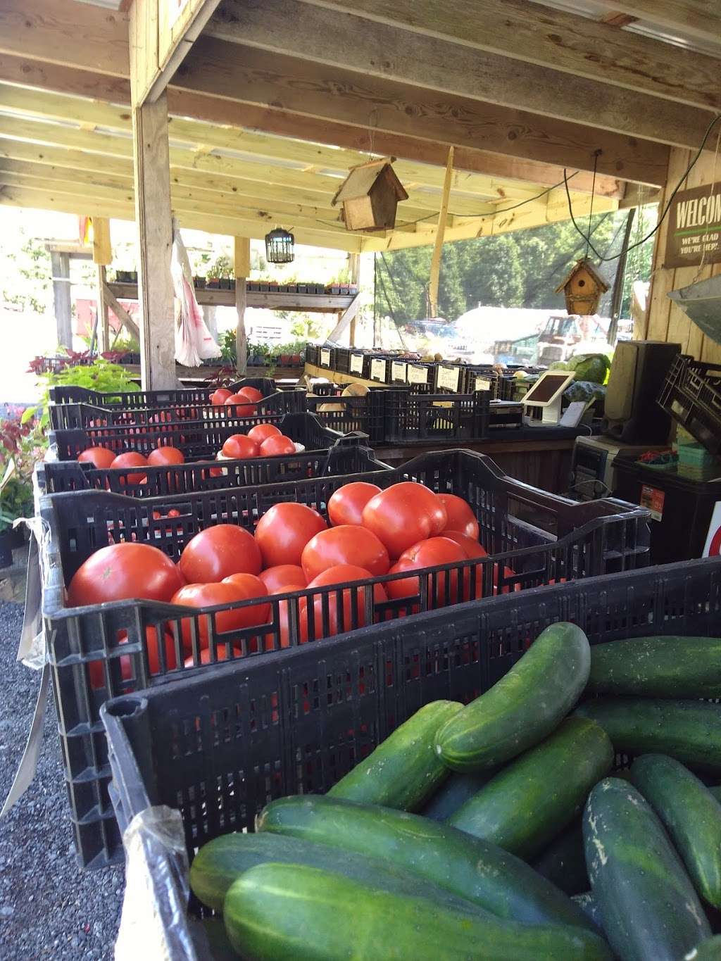 Whispering Ridge Nursery & Farm Stand | 5920 Rte 209, Stroudsburg, PA 18360, USA