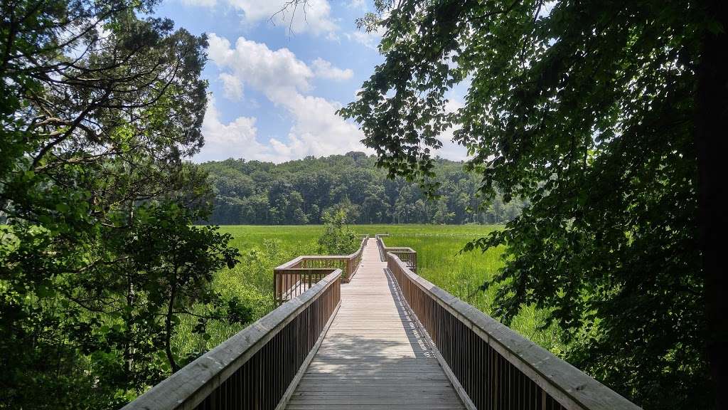 Crows Nest Canoe Launch | 2500 Brooke Rd, Stafford, VA 22554, USA | Phone: (540) 658-8691