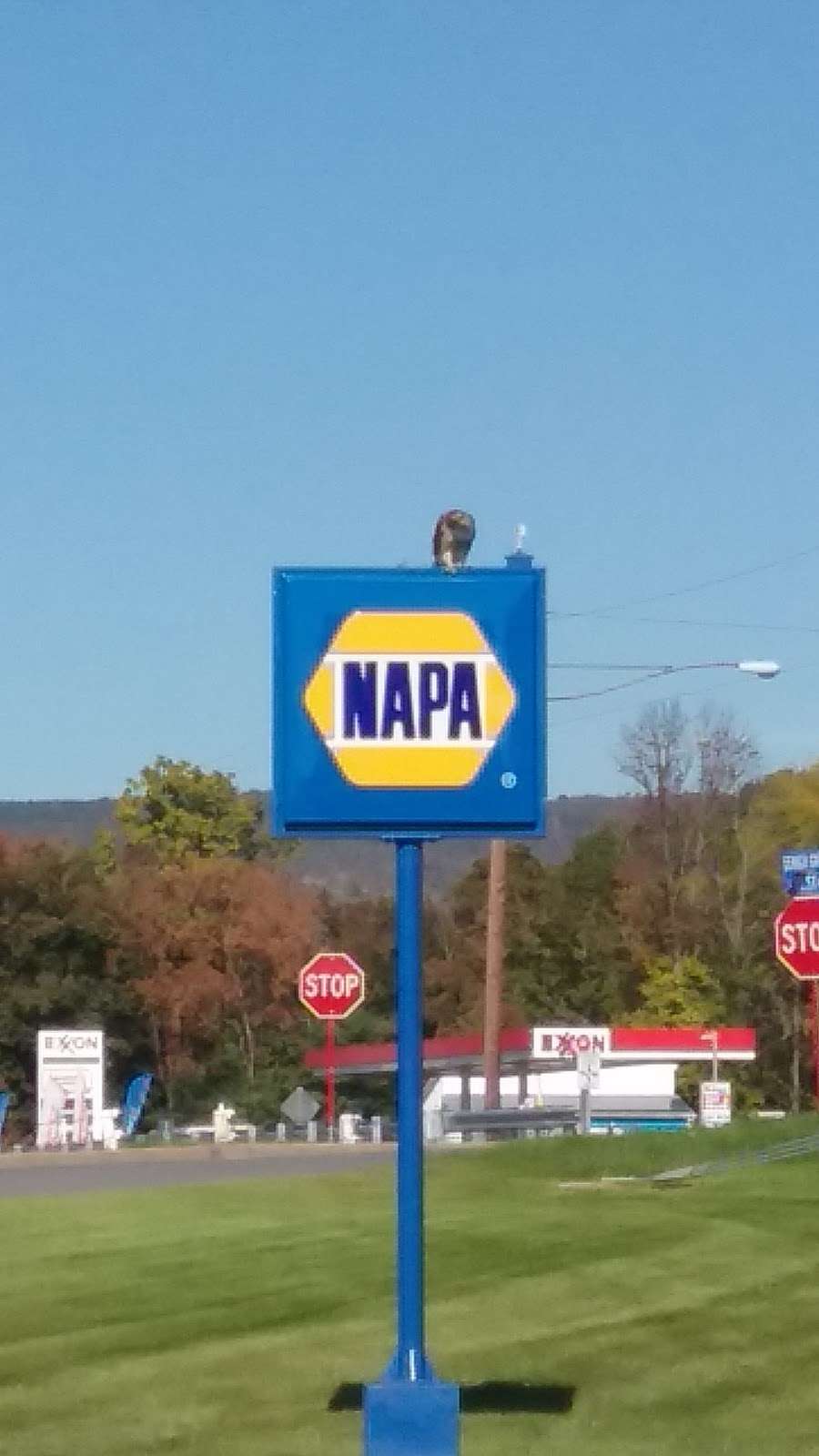 NAPA Auto Parts - Genuine Parts Company | 401 Lehigh Gap St, Walnutport, PA 18088, USA | Phone: (610) 767-3812