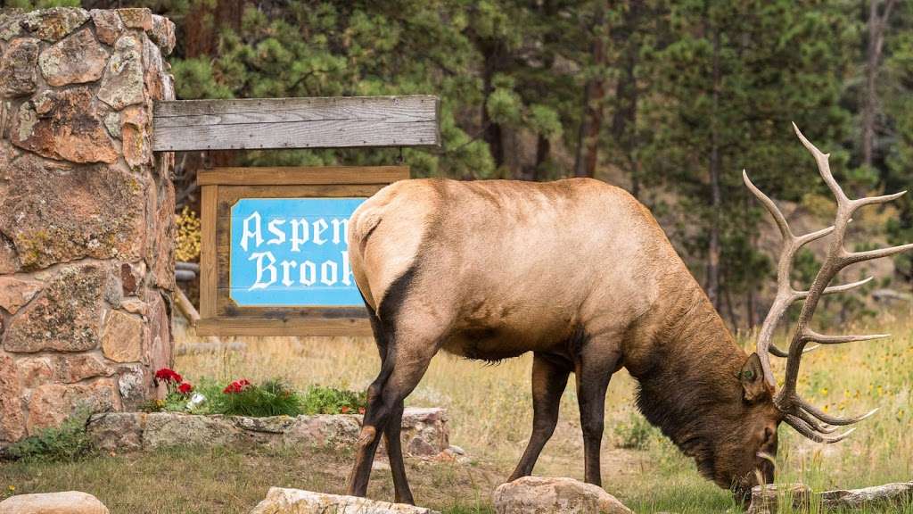 Aspen Brook Vacation Homes | 2340 Aspen Brook Dr, Estes Park, CO 80517, USA | Phone: (970) 586-3748