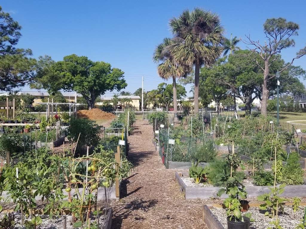 Urban Farming Institute | 1101 NE 40th Ct, Oakland Park, FL 33334, USA | Phone: (954) 696-9577