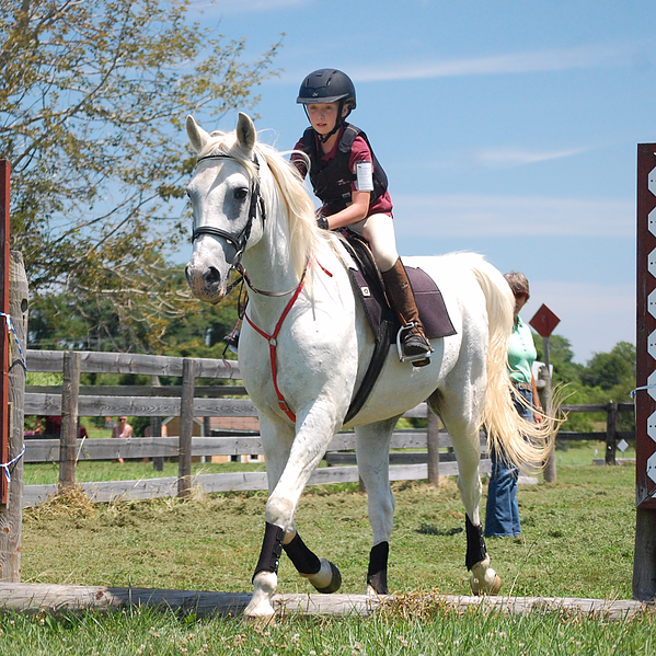 Opening Number Riding Academy | 40 Belle Rouge Farm Ln, North East, MD 21901, USA | Phone: (302) 388-6443