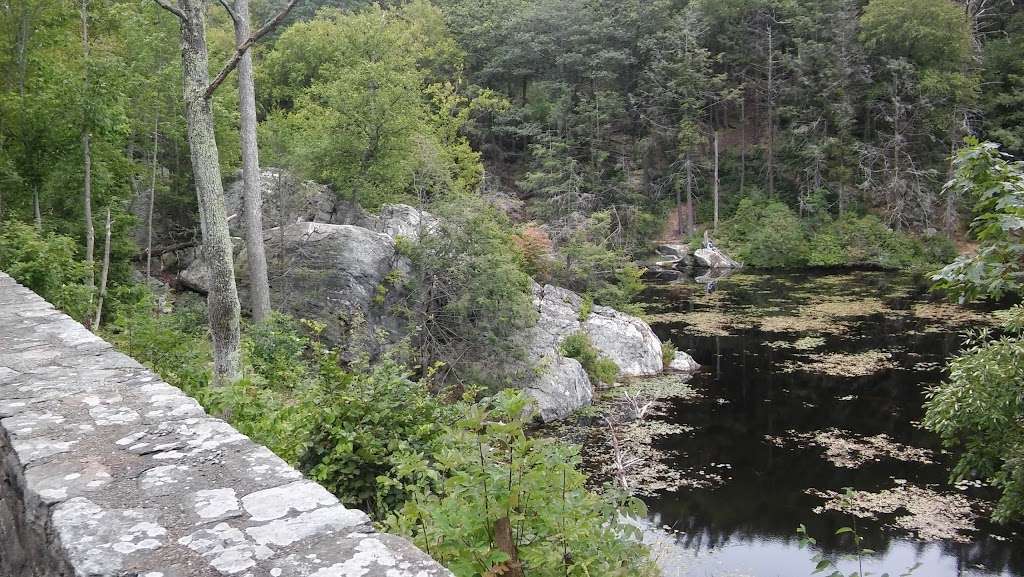 Pendleton Pond | Carmel Hamlet, NY 10512, USA