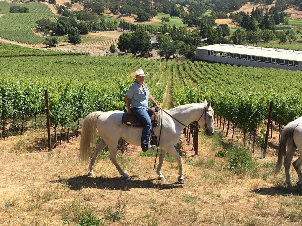 Napa Valley Trail Rides | 100 Rapp Ln, Napa, CA 94558, USA | Phone: (707) 255-5661