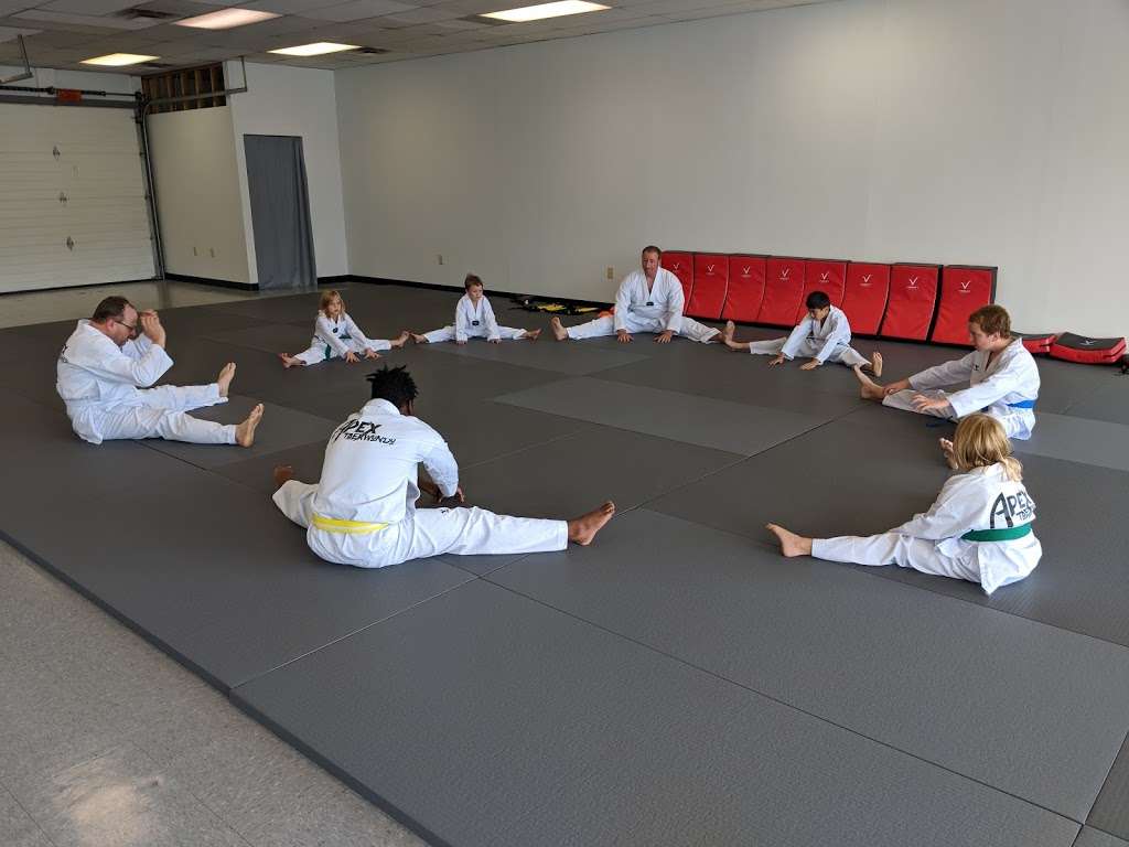 Apex Taekwondo Center | 7247 Fishers Landing Dr, Fishers, IN 46038, USA | Phone: (317) 863-8106