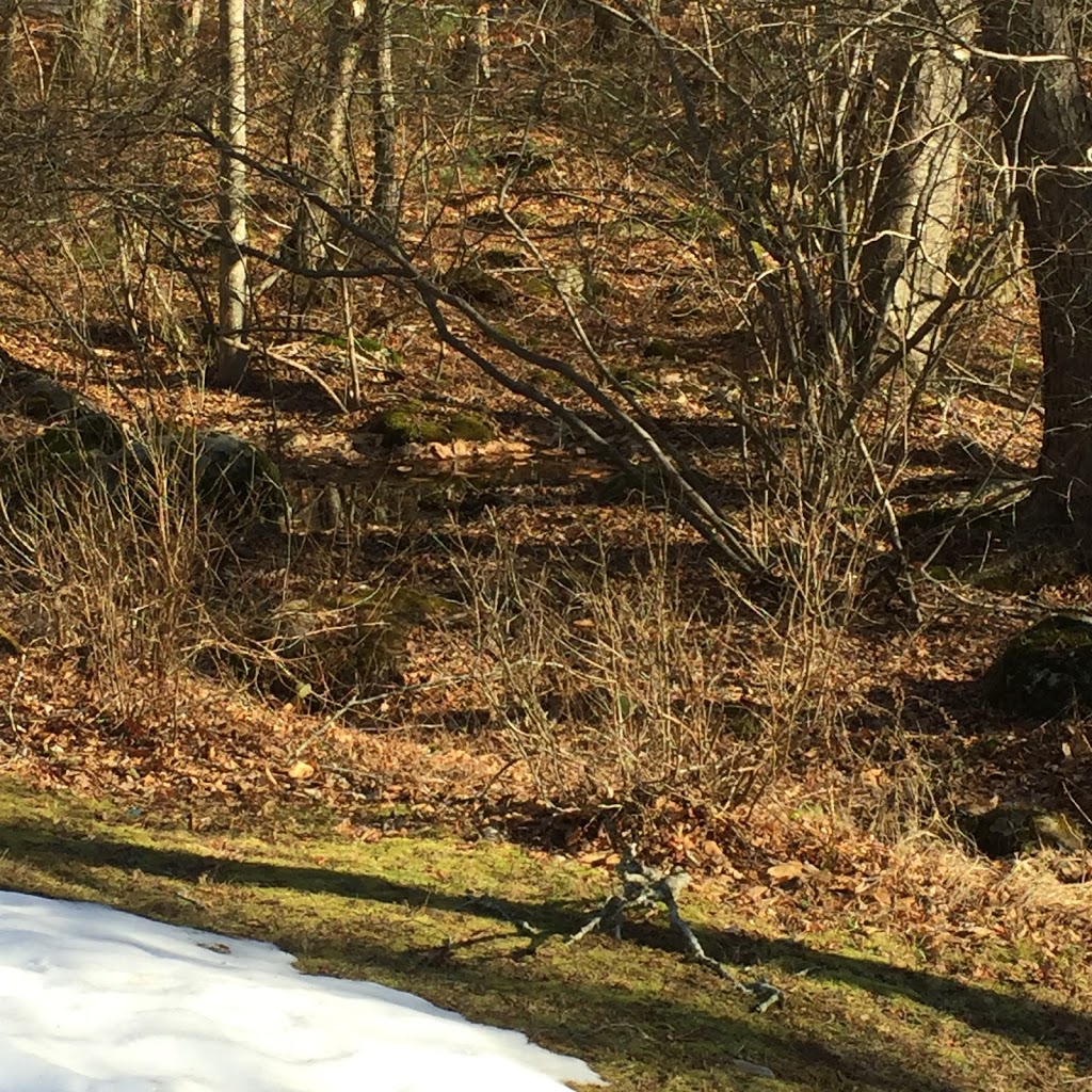 Mount Blue Spring at Wompatuck State Park | Union St, Hingham, MA 02043, USA