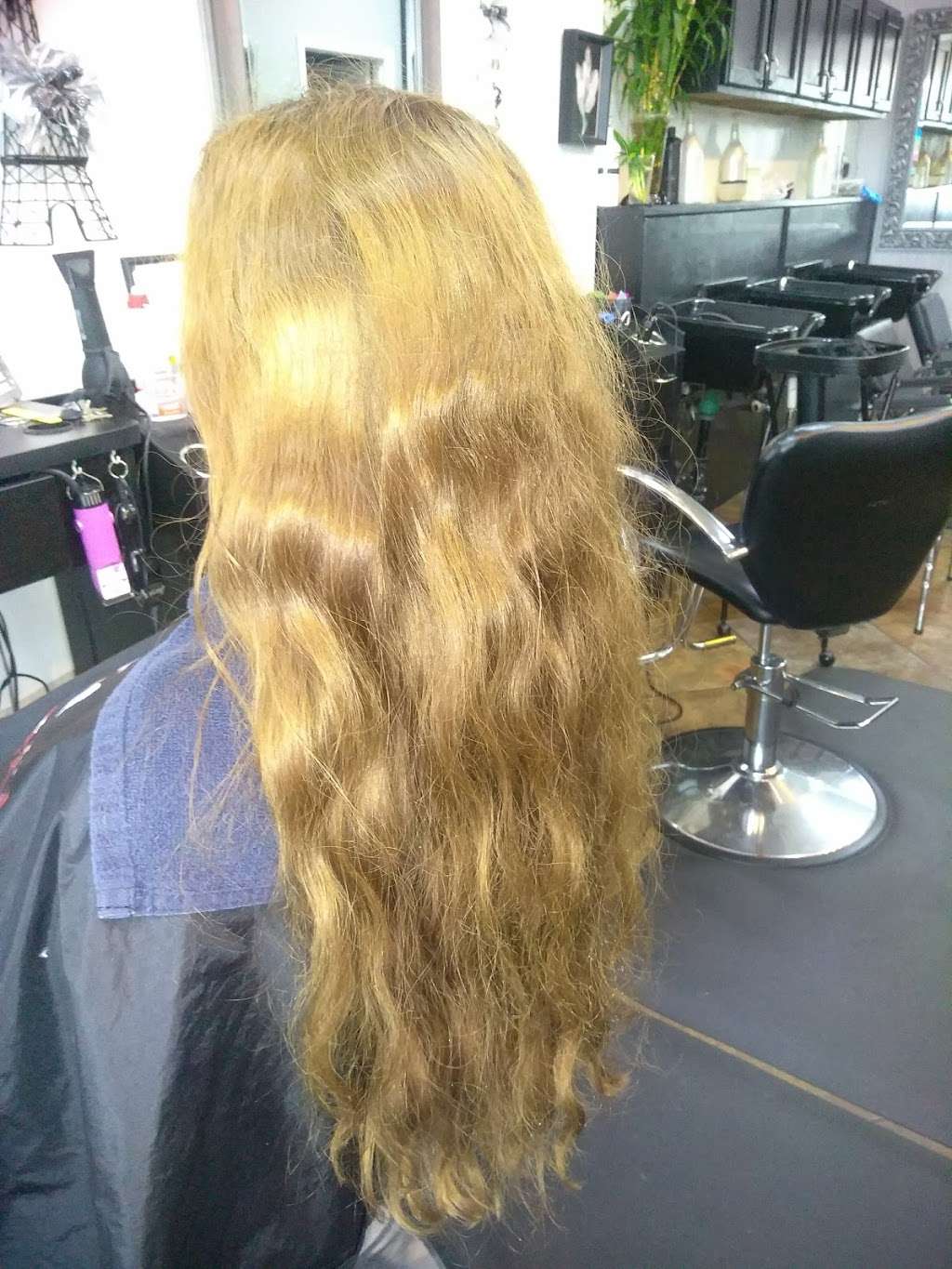 The Hair Connection | 12913 E Colonial Dr, Orlando, FL 32826 | Phone: (407) 281-0088