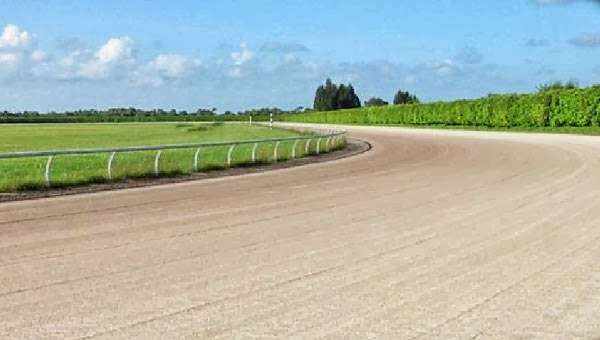 Payson Park Thoroughbred | 9700 SW Kanner Hwy, Indiantown, FL 34956, USA | Phone: (772) 597-3555