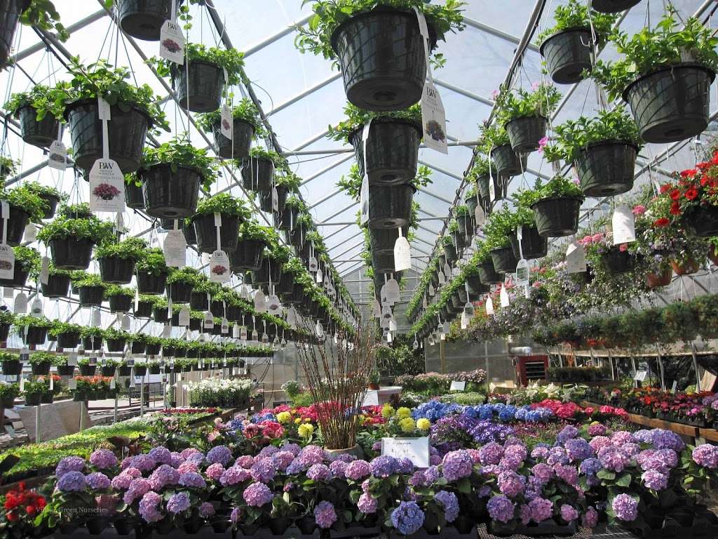 Village Green Nurseries Inc | 186 Dedham St, Norfolk, MA 02056, USA | Phone: (508) 384-2355