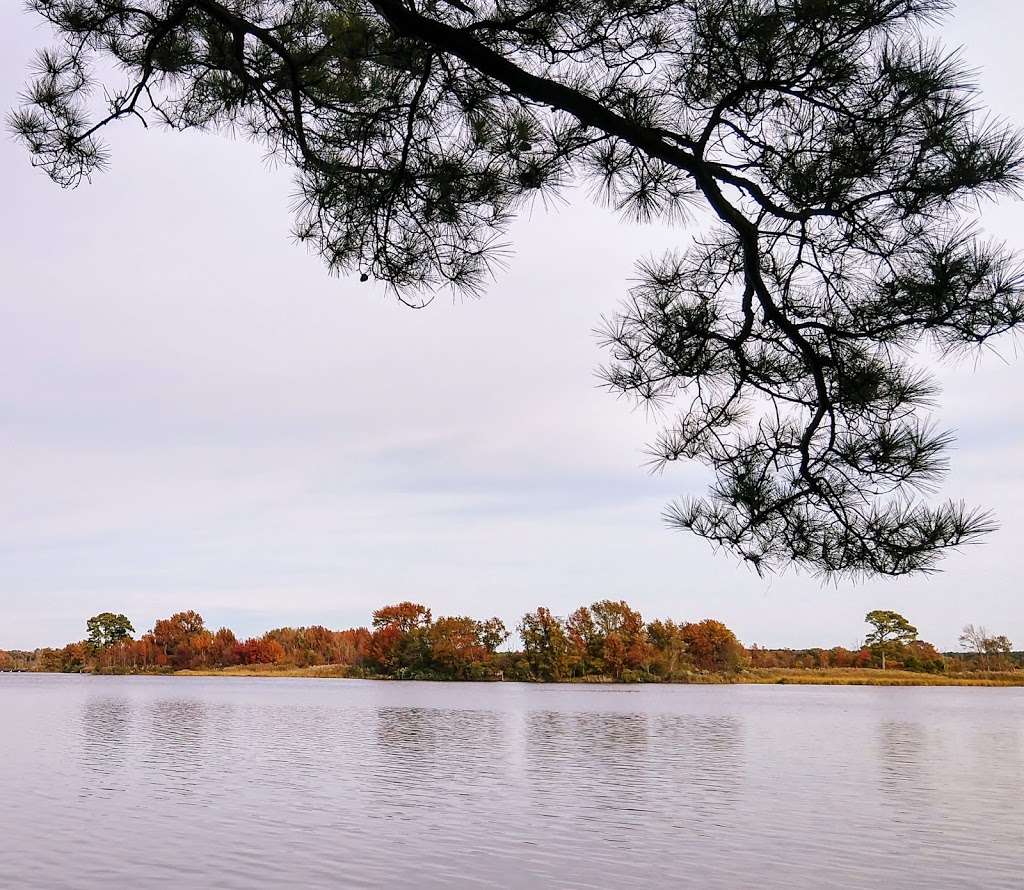 Marsh Edge Trail | 9, Church Creek, MD 21613, USA