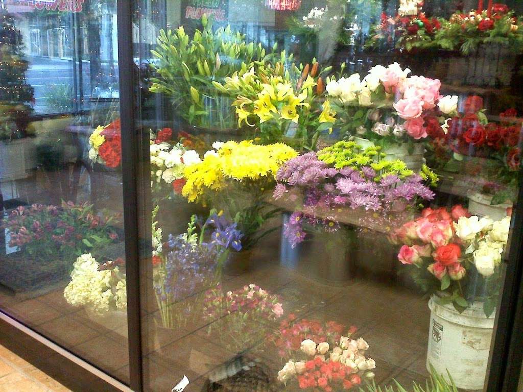 Martinez Park Florist | 4020 Alhambra Ave, Martinez, CA 94553, USA | Phone: (925) 228-7160