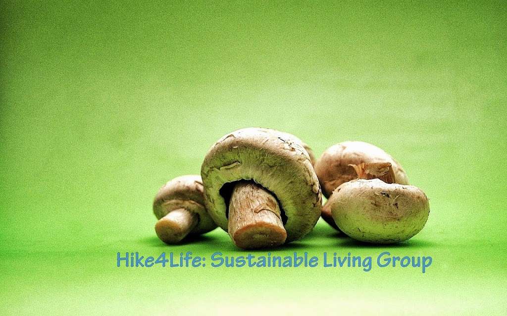 Hike4Life | 42 Howard Ave, Dorchester, MA 02125, USA | Phone: (617) 297-7390