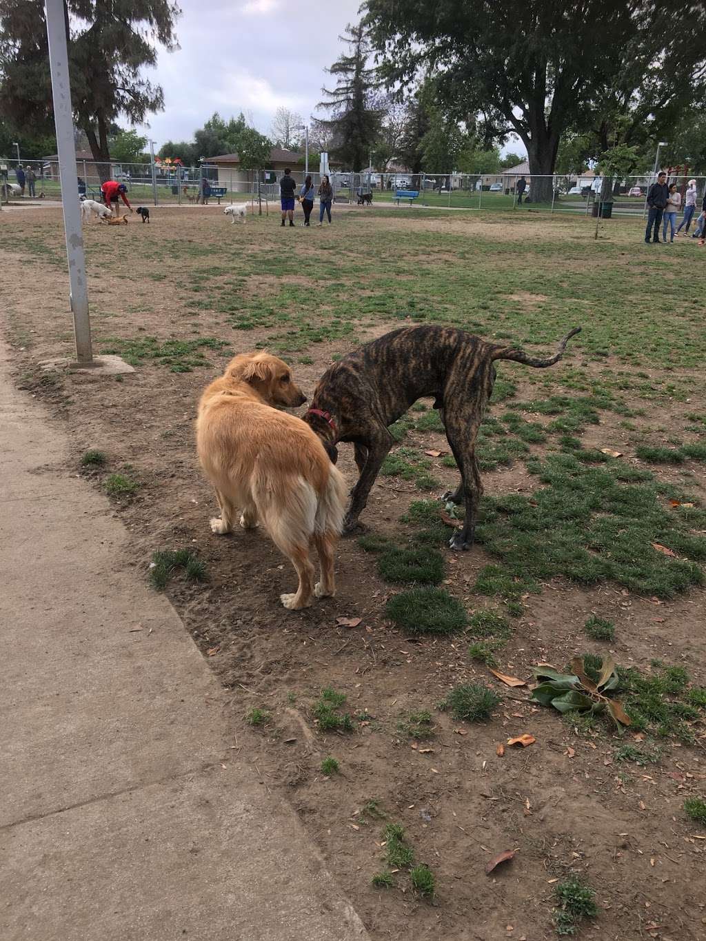 Central Bark Dog Park | 1500 W Rowland Ave, West Covina, CA 91791, USA