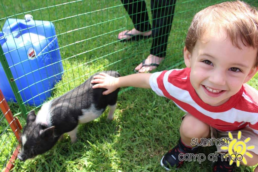 Mothers Day Out at Freedom Church | 2435 E Hebron Pkwy, Carrollton, TX 75007, USA | Phone: (972) 306-8190