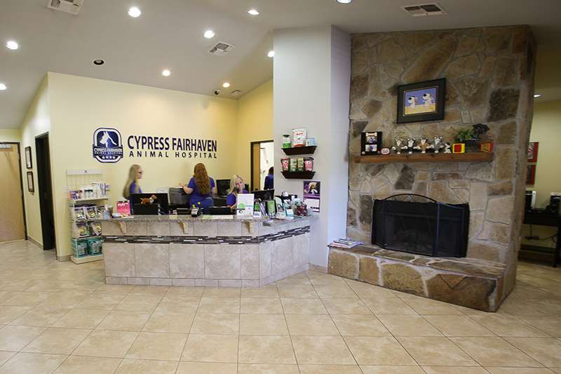 Cypress Fairhaven Animal Hospital | 15820 Mueschke Rd, Cypress, TX 77433, USA | Phone: (281) 256-8085