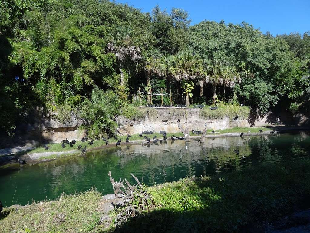 Kilimanjaro Safaris | 2901 W Osceola Pkwy, Orlando, FL 32830, USA | Phone: (407) 939-5277