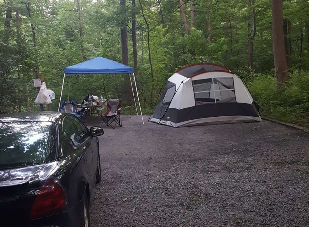 Manor Area Campground | 6709, Cunningham Falls Park Rd, Thurmont, MD 21788, USA | Phone: (301) 271-3676