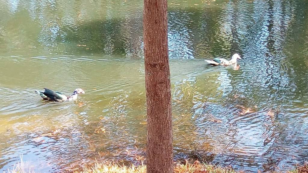 orange park North | 5291 Collins Rd, Jacksonville, FL 32244, USA | Phone: (904) 264-7131