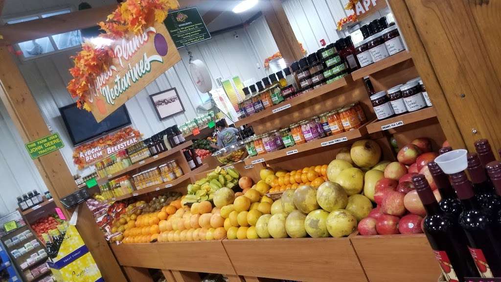 Bedners Farm Fresh Market | 10066 Lee Rd, Boynton Beach, FL 33473, USA | Phone: (561) 733-5490