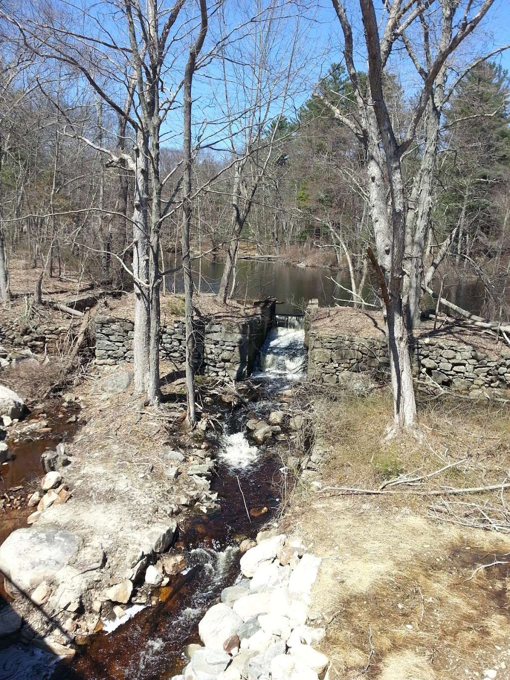 Walden Woods Community Garden | 180 Walden Way, Milford, MA 01757, USA