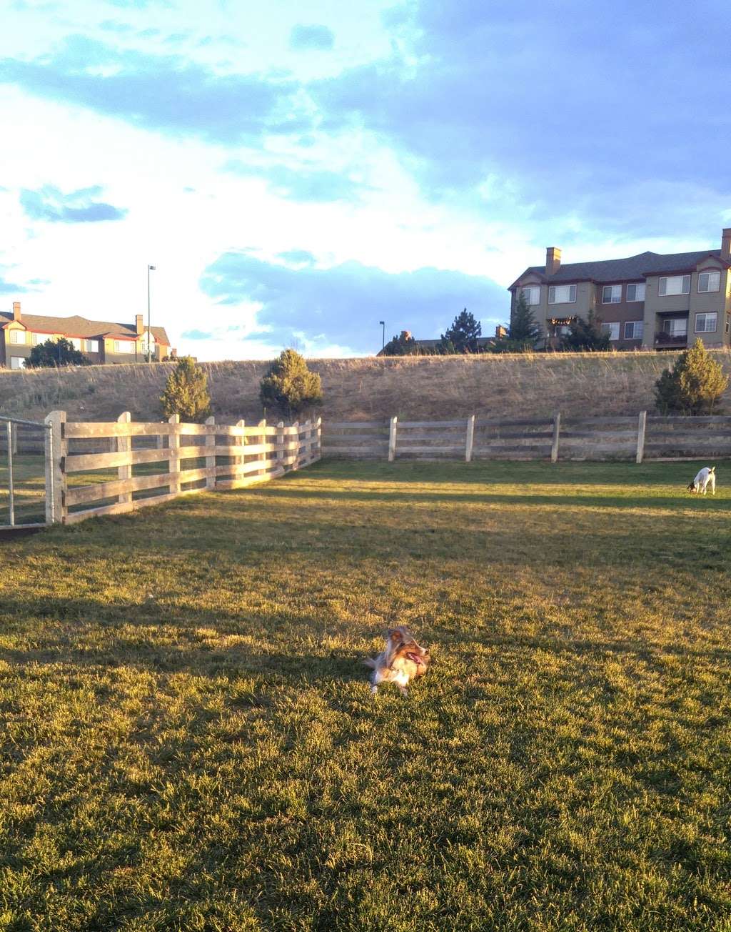 Douglas County Off-leash Area | 1100 Plum Creek Pkwy, Castle Rock, CO 80104, USA