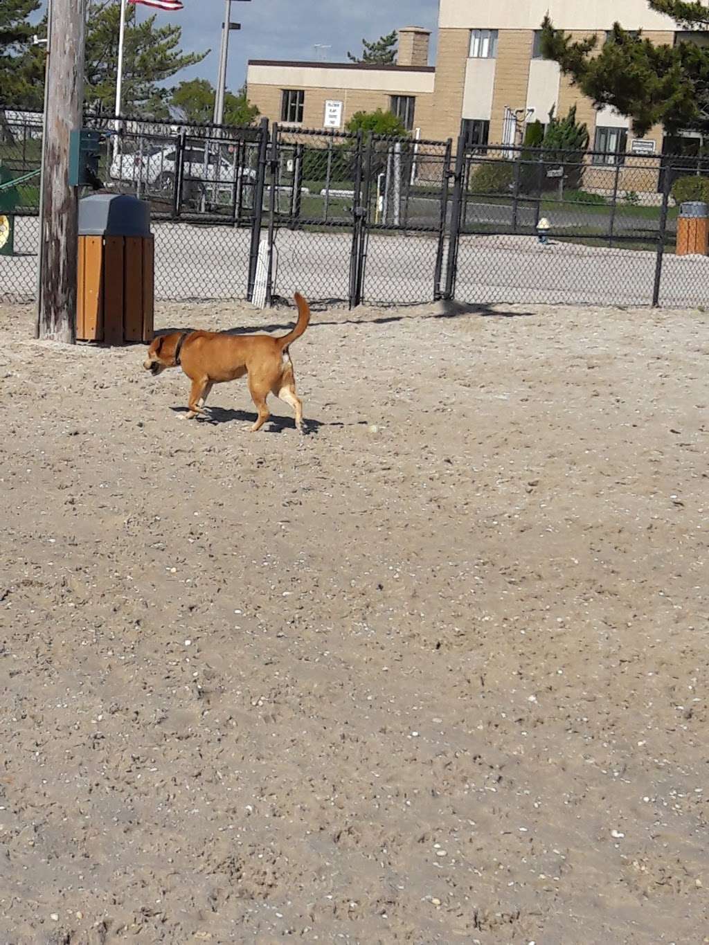 Ocean City Dog Park | 45th St & Haven Ave, Ocean City, NJ 08226, USA | Phone: (609) 399-6111